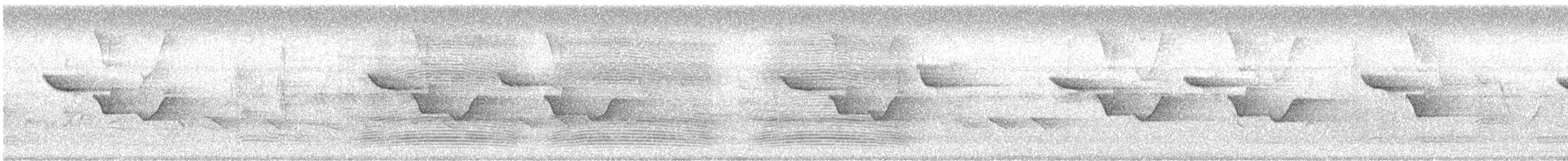 Oriental Magpie-Robin (Oriental) - ML369102081