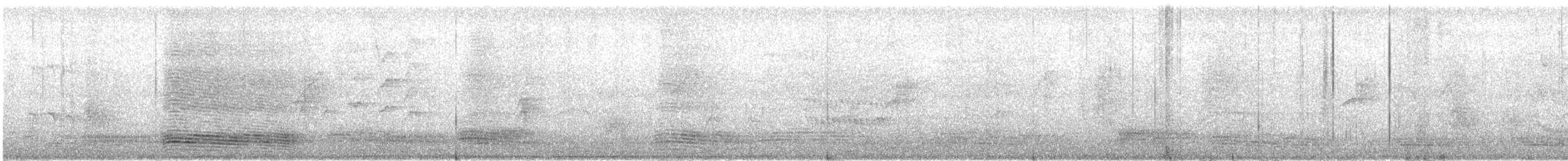 Большеклювая ворона (levaillantii) - ML369102191