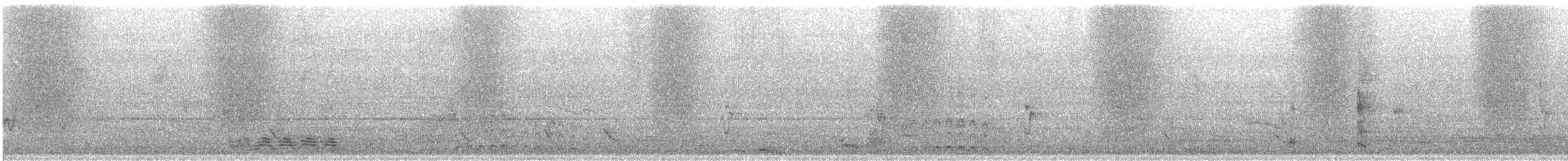 tykknebbkråke (levaillantii) (hindukråke) - ML369102221