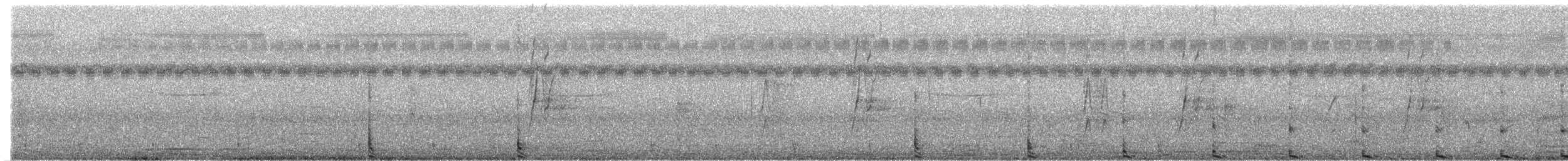 chřástal rohatý - ML369158371