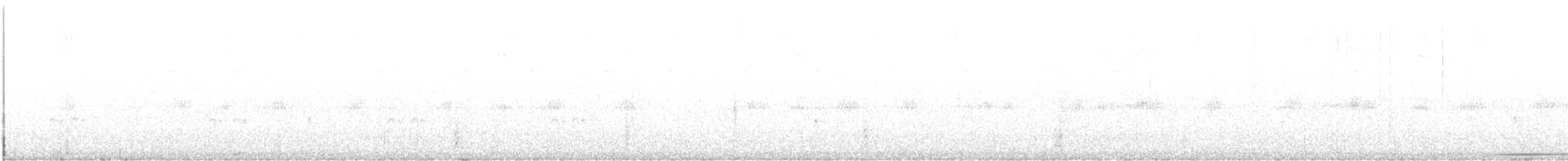 White-tipped Dove - ML369296301