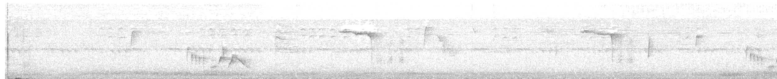 tyranovec vrbový - ML369328161