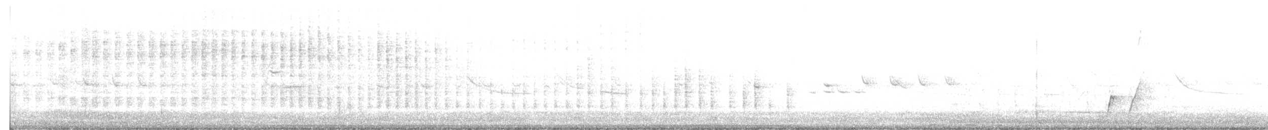 Curve-billed Thrasher - ML369342191