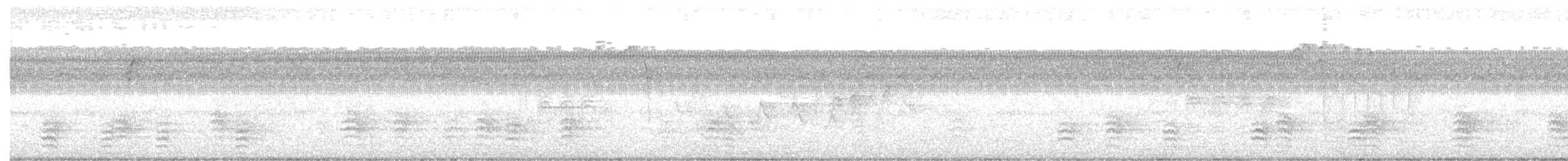 White-breasted Nuthatch - ML369429791