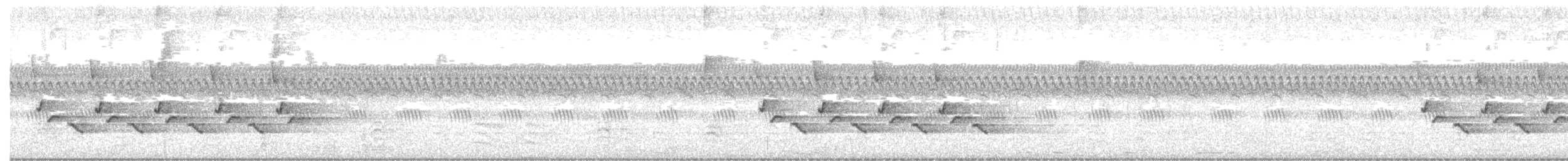 Carolina Wren - ML369432191