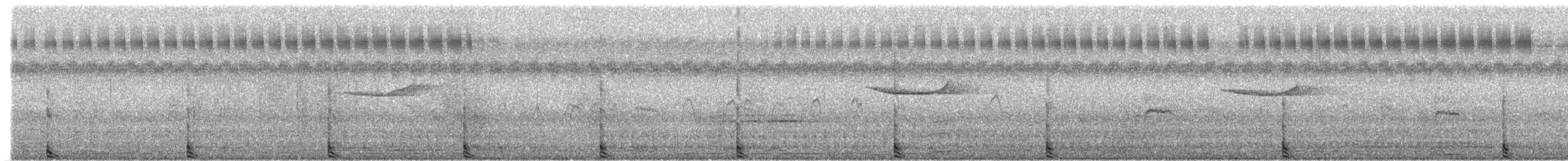 Watercock - ML369434811