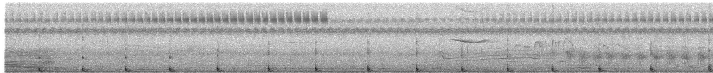 chřástal rohatý - ML369434821