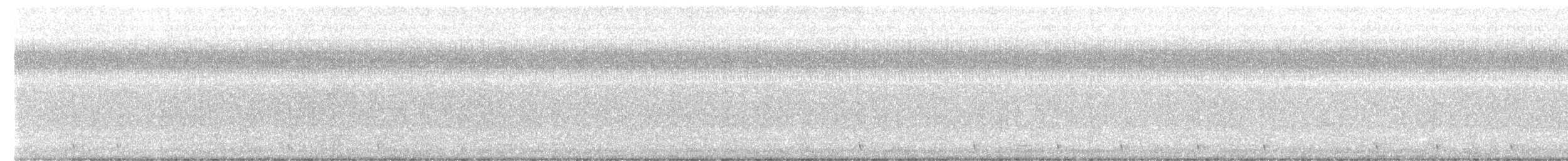 Zorzalito de Swainson - ML369455451