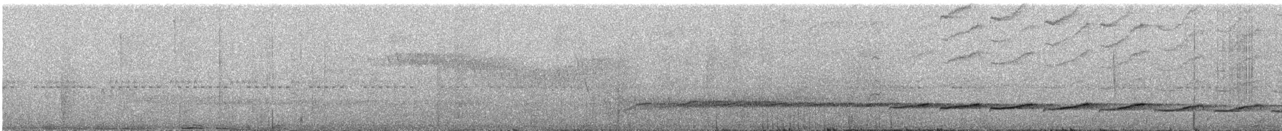 Rostbrauenvireo - ML369488421