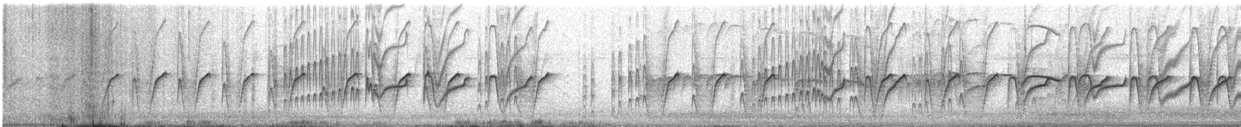 Braunbrust-Glanzvogel - ML369488431