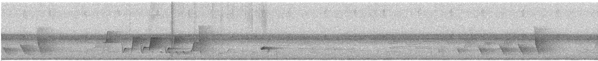 holub santacruzský - ML369522211