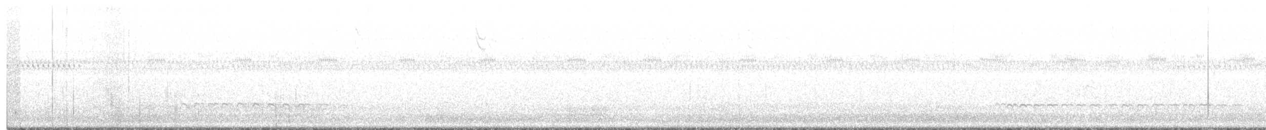 Whimbrel (Hudsonian) - ML369567781