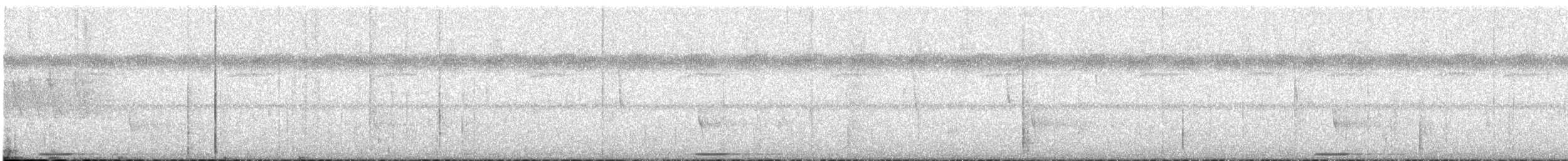 holoubek šedomodrý - ML369581971