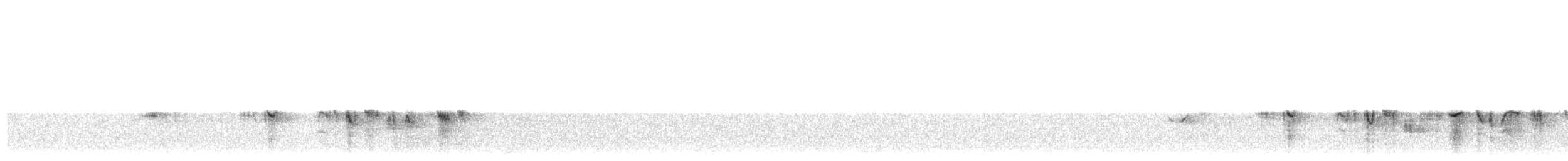 Африканский черноголовый чекан [группа torquatus] - ML369675701