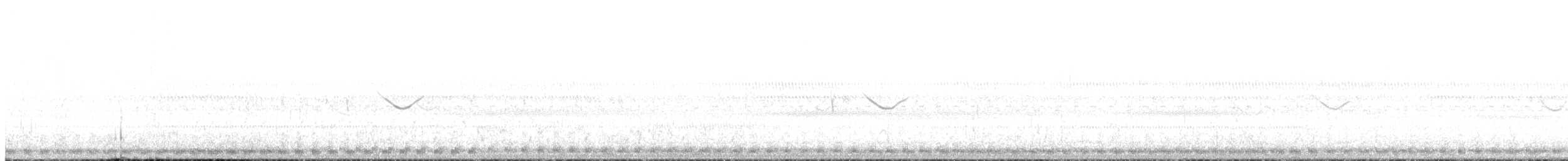 Spot-tailed Nightjar - ML369689451