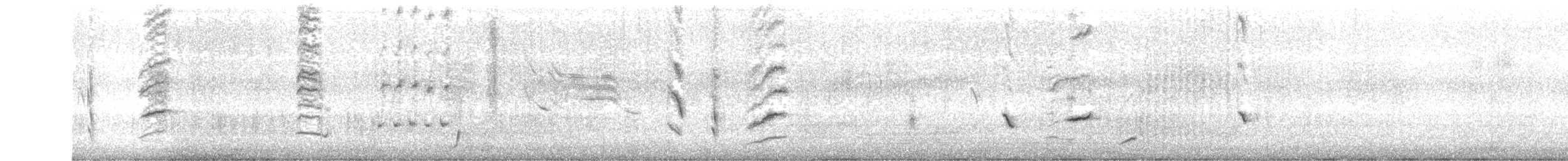 Strichelkopfstärling - ML369859151