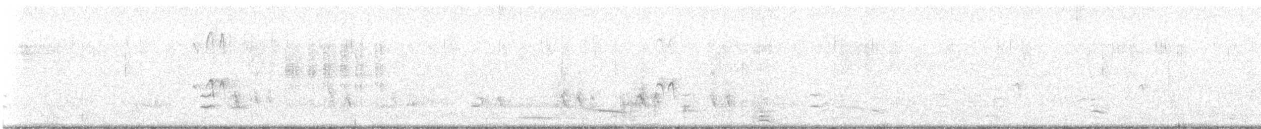 Black-tailed Godwit - ML369906561