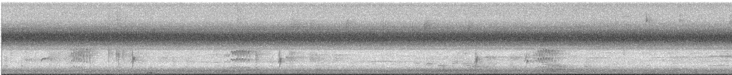 Дрізд-короткодзьоб Cвенсона - ML369997281
