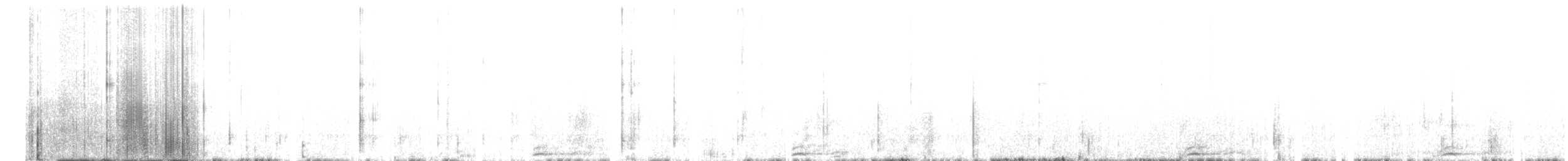 sovka štěkavá - ML370135861