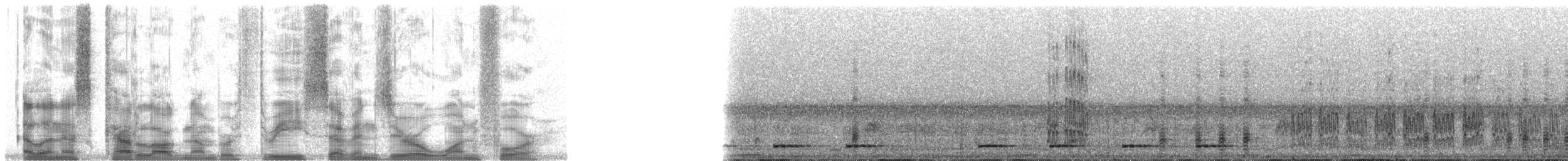 Olive Woodpecker - ML37014