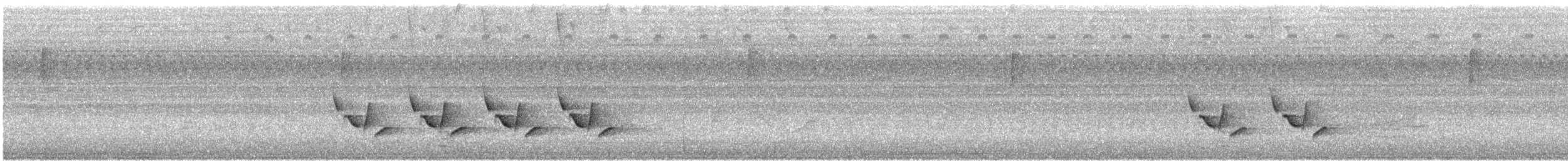 Поплітник каролінський - ML370178581
