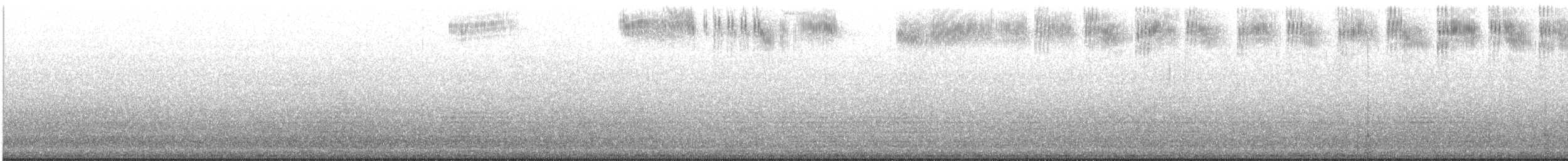 Rotrücken- x Grünrücken-Zimtelfe (Hybrid) - ML370214071