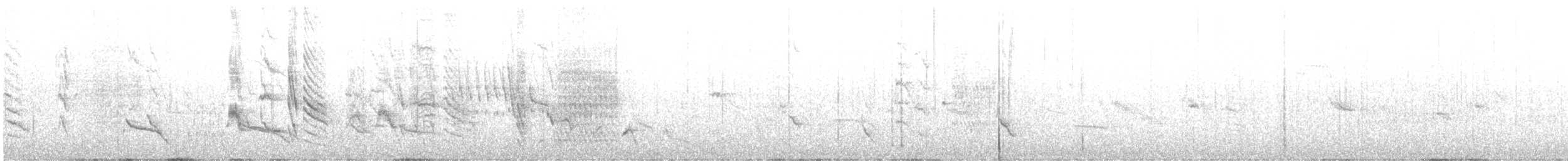 Austral Blackbird - ML370243891