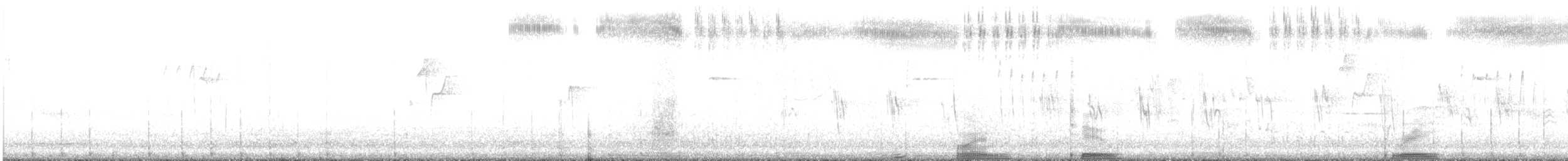 雑種 アカフトオハチドリ ｘ アレンハチドリ - ML370266681