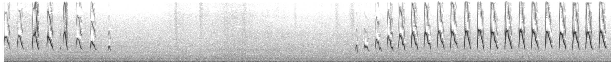 白腰叉尾海燕 - ML370337101