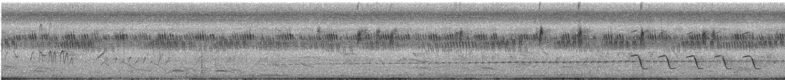 křepelka křovinná - ML370349531