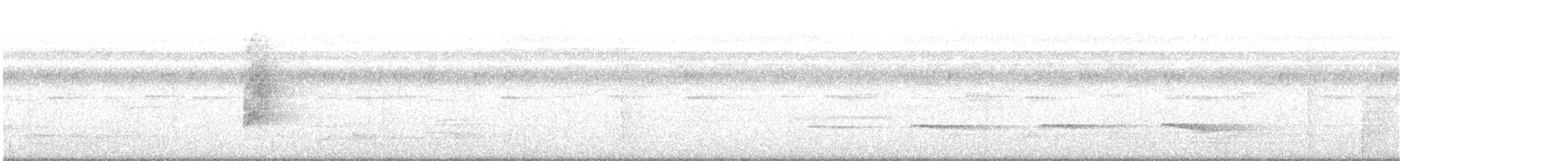 Пласкодзьоб західний - ML370356901