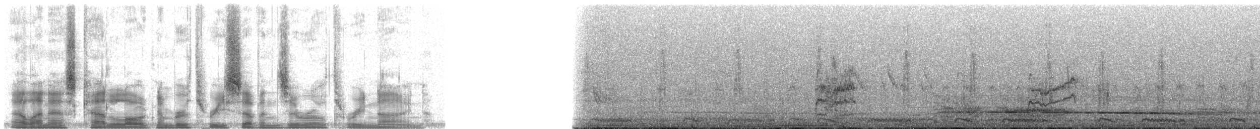 Зелоноголовая нектарница - ML37039