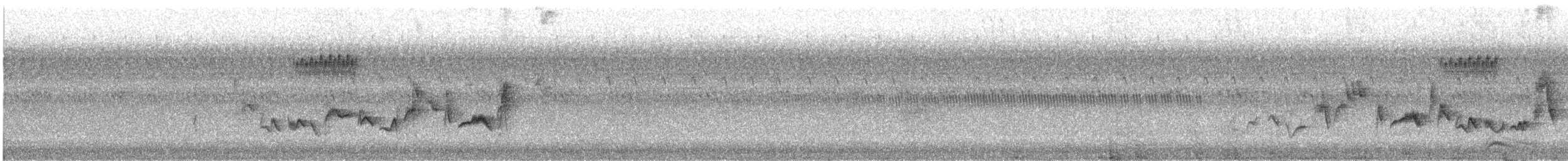 Warbling Vireo - ML370574961