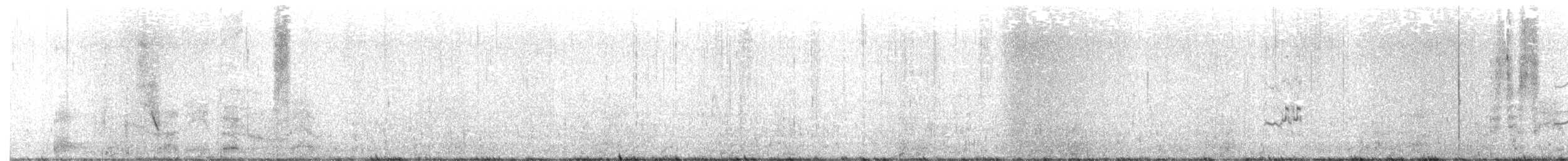 Gray-tailed Tattler - ML370608891
