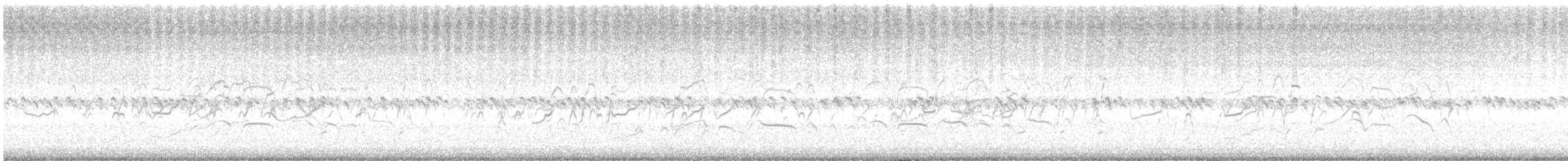 Kara Karınlı Islıkçı Ördek - ML370629621