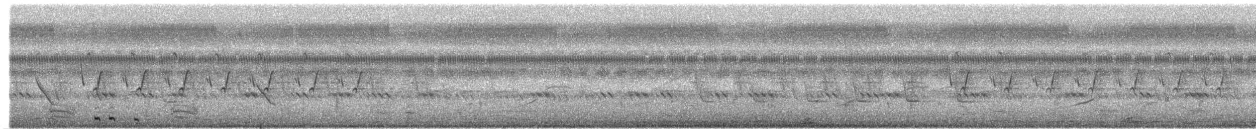 kukačka orientální - ML370666211