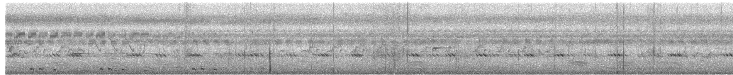 kukačka orientální - ML370666221