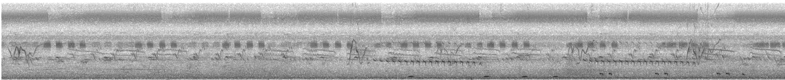 Lesser Coucal - ML370666231