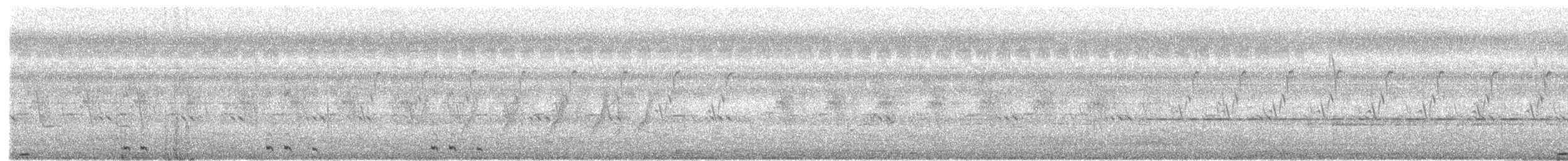 kukačka orientální - ML370666241