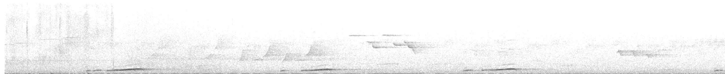 holub bažantí - ML370678181
