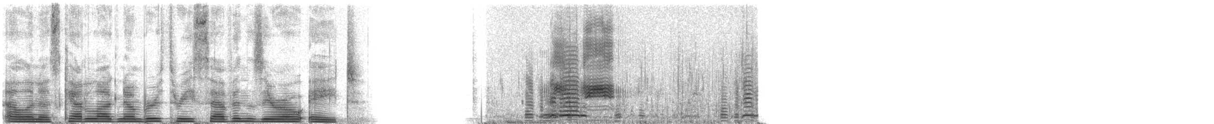 Common Goldeneye - ML3708