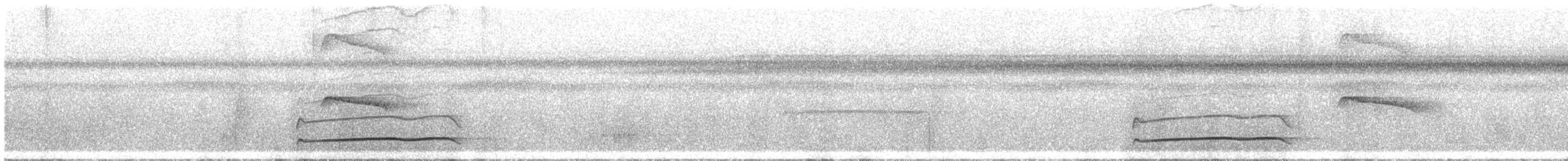 Тиран-плоскодзьоб рудохвостий - ML370800521