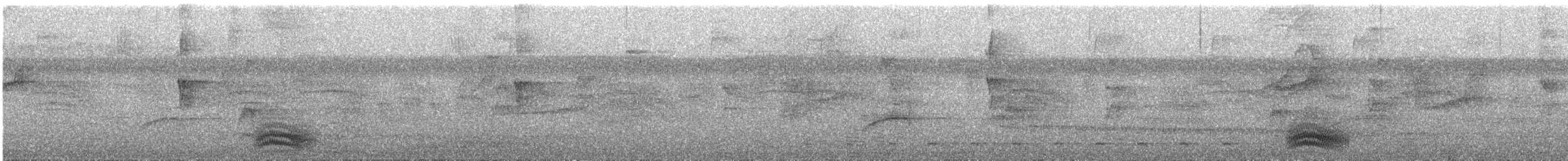 Barred Antshrike - ML370810951