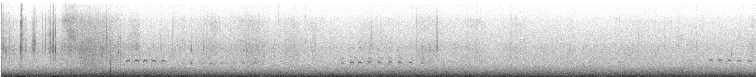 Regenbrachvogel (hudsonicus) - ML370875861