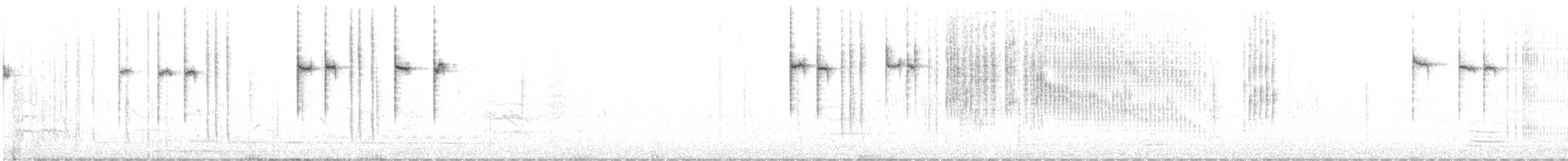 Green-backed Firecrown - ML370883571