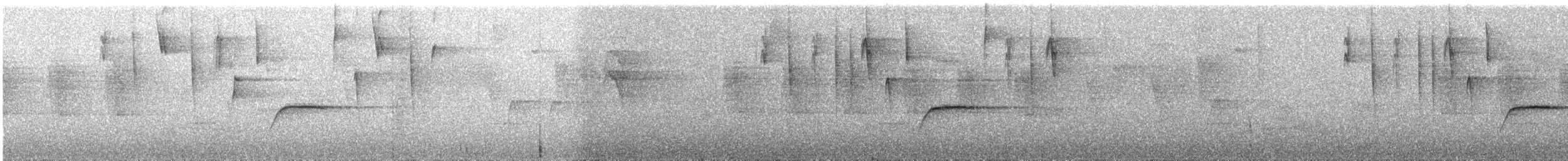 Zuckervogel - ML370884131