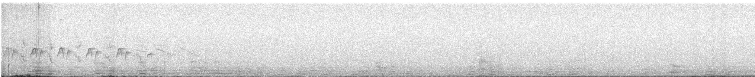 Des Murs's Wiretail - ML371057021