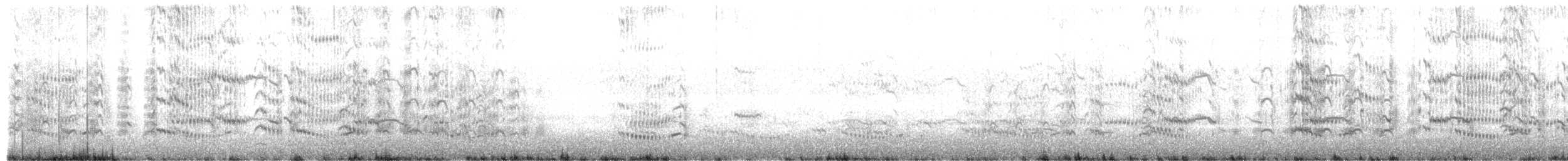 Royal Tern - ML371118201