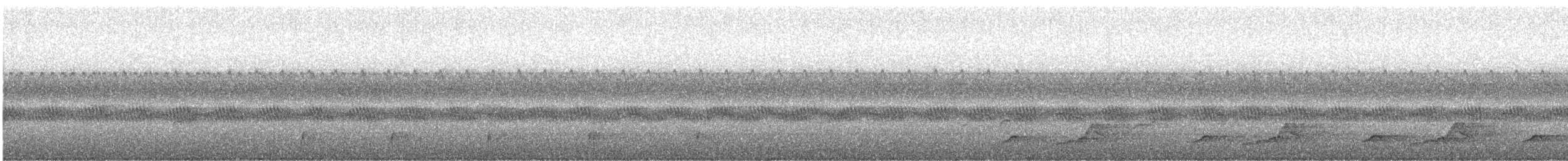 Schwarzkehl-Nachtschwalbe - ML371160741