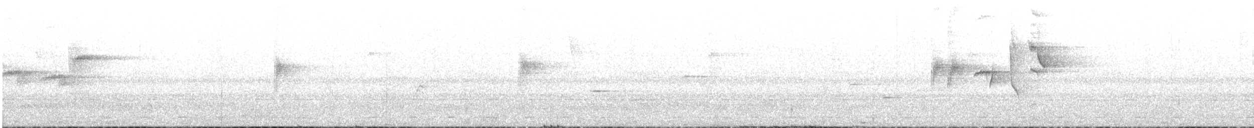 Elminia Ventriblanca (albiventris) - ML37118751